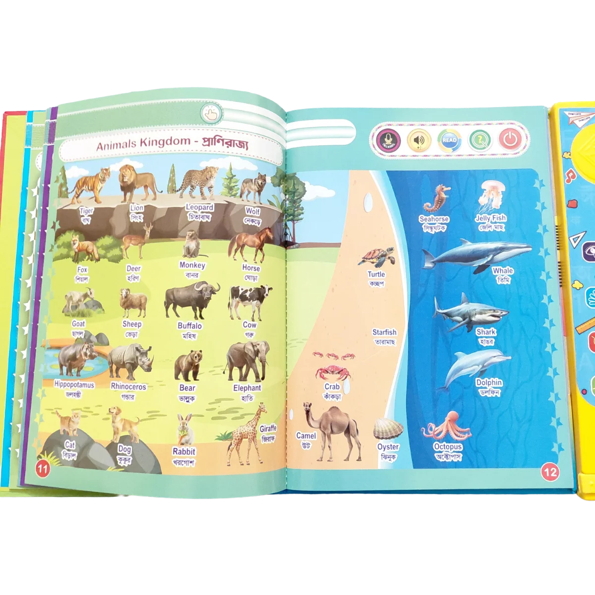 পণ্যের ছবি 2